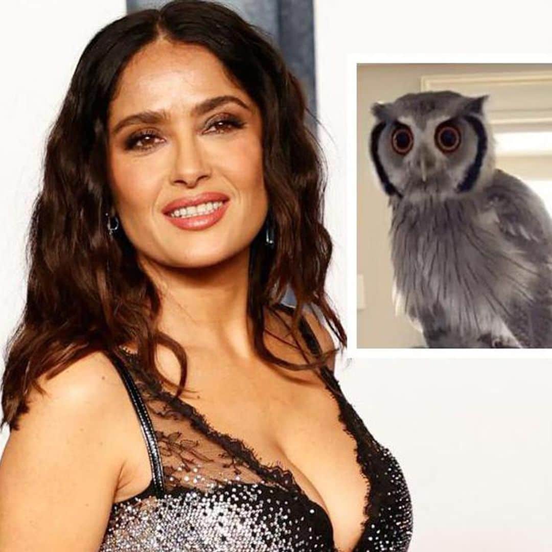 Salma Hayek celebrates National Pet Day with sweet tribute to her alpacas, horses and more