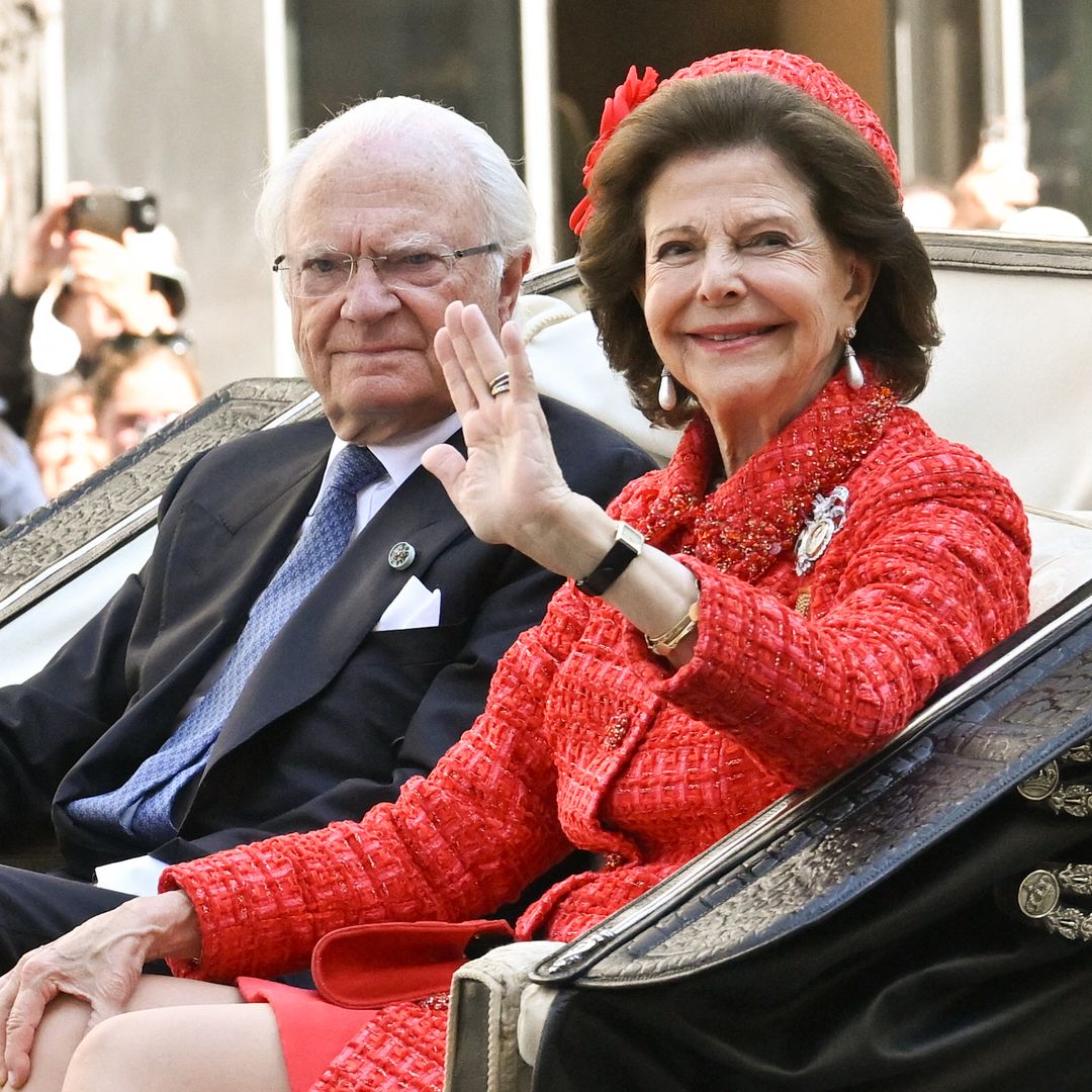 Queen Silvia of Sweden, 82, climbs a firefighting plane battling Belgium's worst wildfire on record