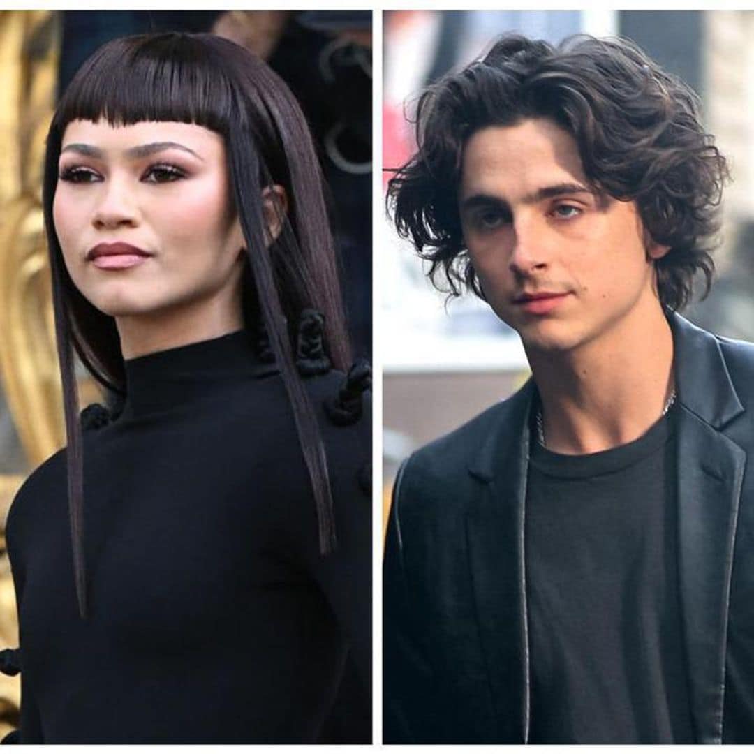 How Zendaya helped Timothée Chalamet with his first apartment in New York City