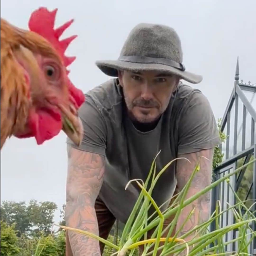 Watch the 10 Best Celebrity TikToks of the Week: Karol G, David Beckham, Kylie Jenner, and more