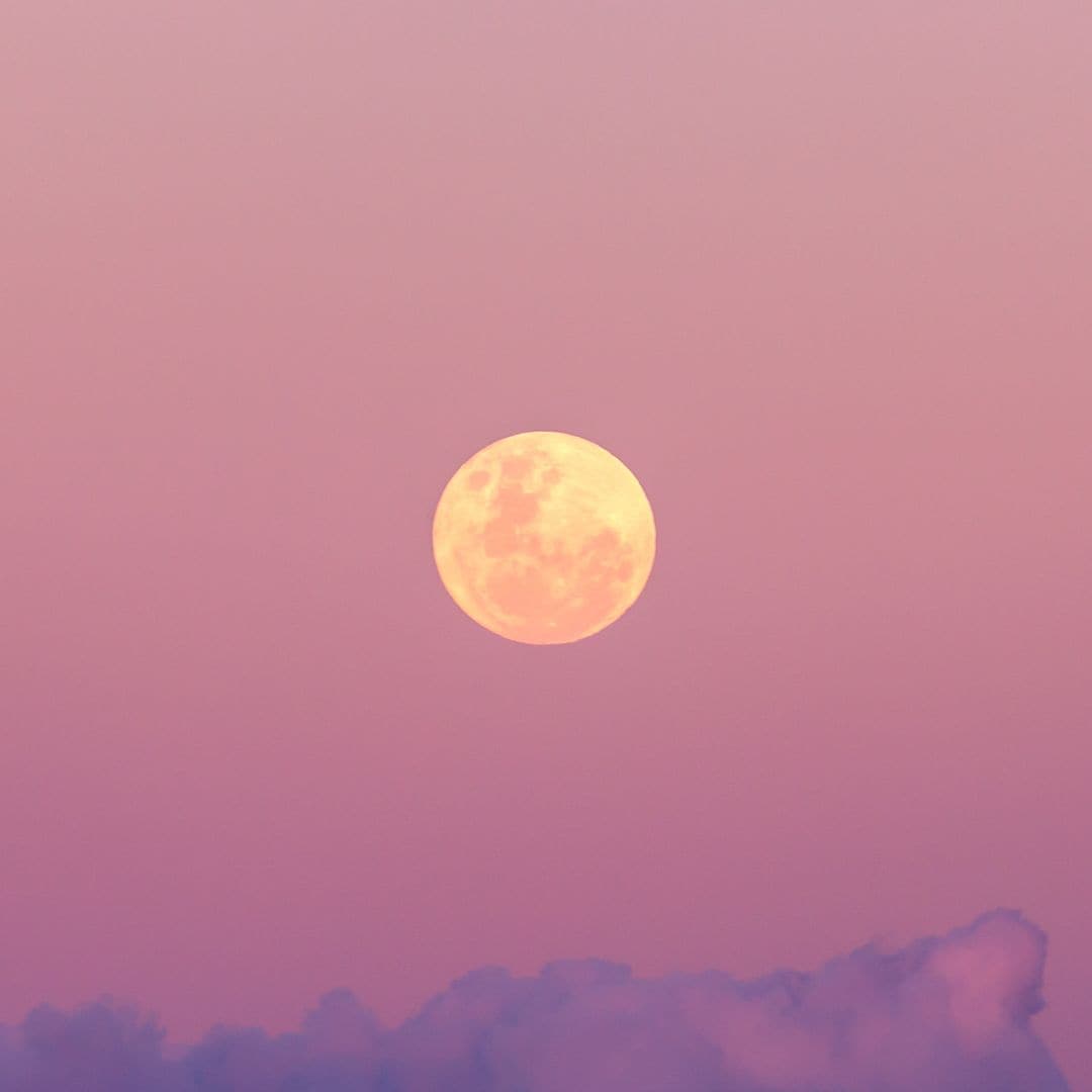 Pink Moon 2025: What it means for your Zodiac sign