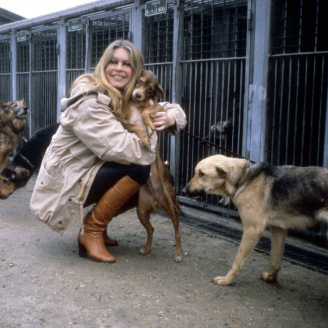 This is how Brigitte Bardot spent her final days: silence, nature, and an impregnable refuge