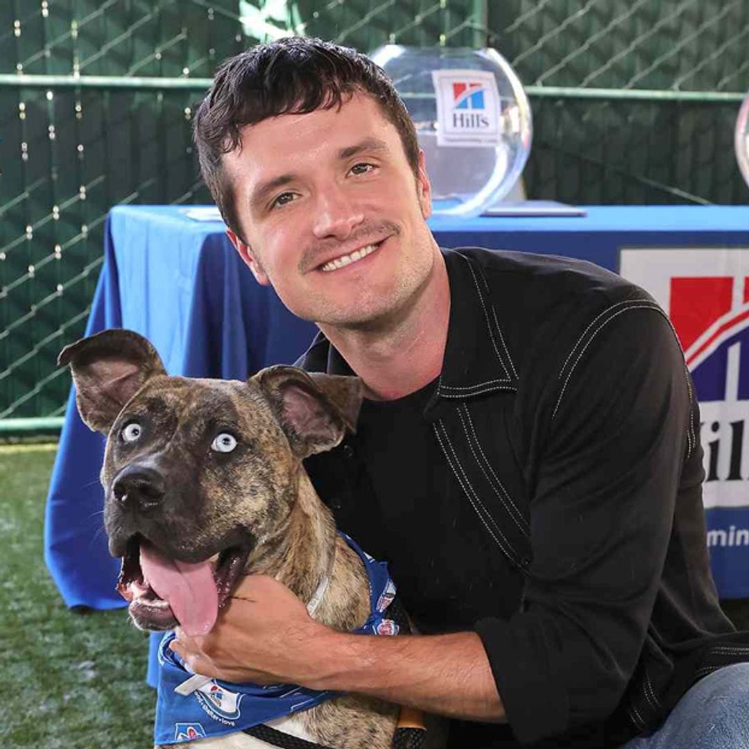 Pet of the Week: Josh Hutcherson’s rescue dogs Manchi and Driver changed his life, now he’s helping shelter pets get their second chance