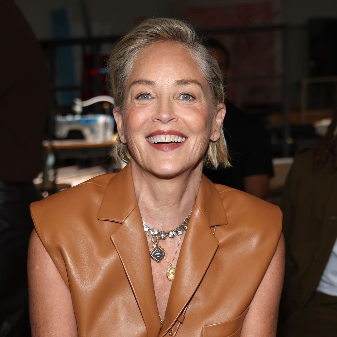 Sharon Stone opens up about losing $18 million after having a stroke