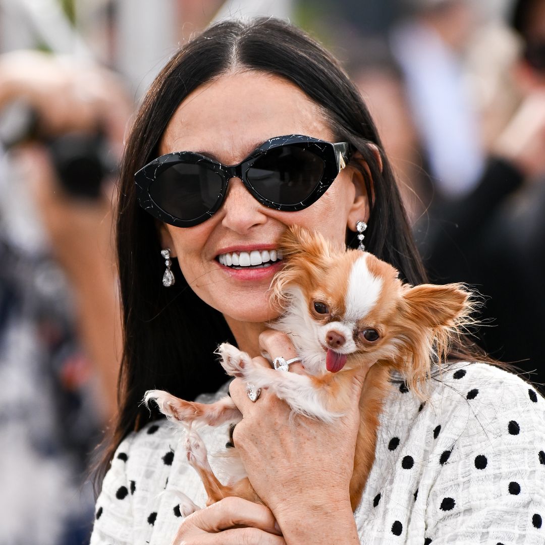 International dog day: the top 10 cutest celebrity pooches