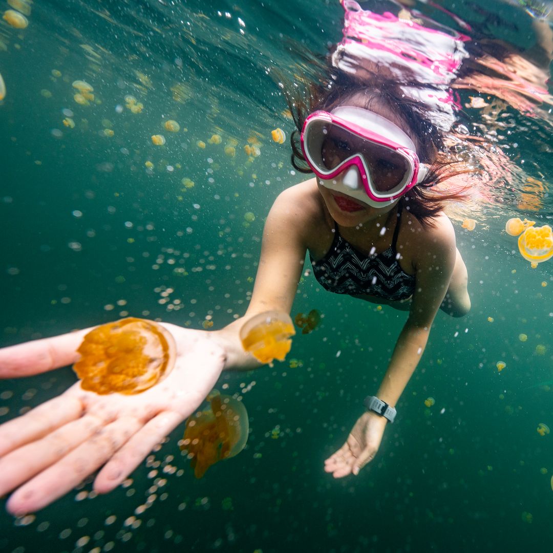 6. Jellyfish Lake, Palau