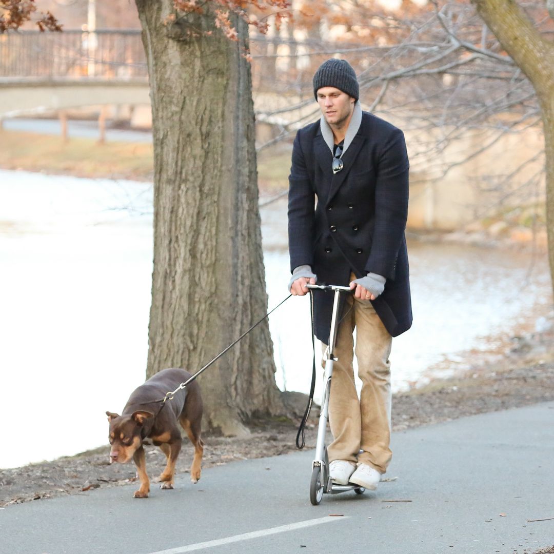 Tom Brady’s new puppy is a clone of his late dog