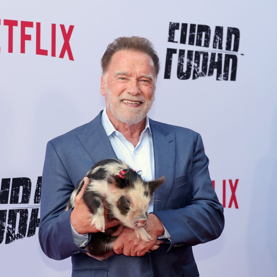 Arnold Schwarzenegger hit with major career setback just days after turning 78