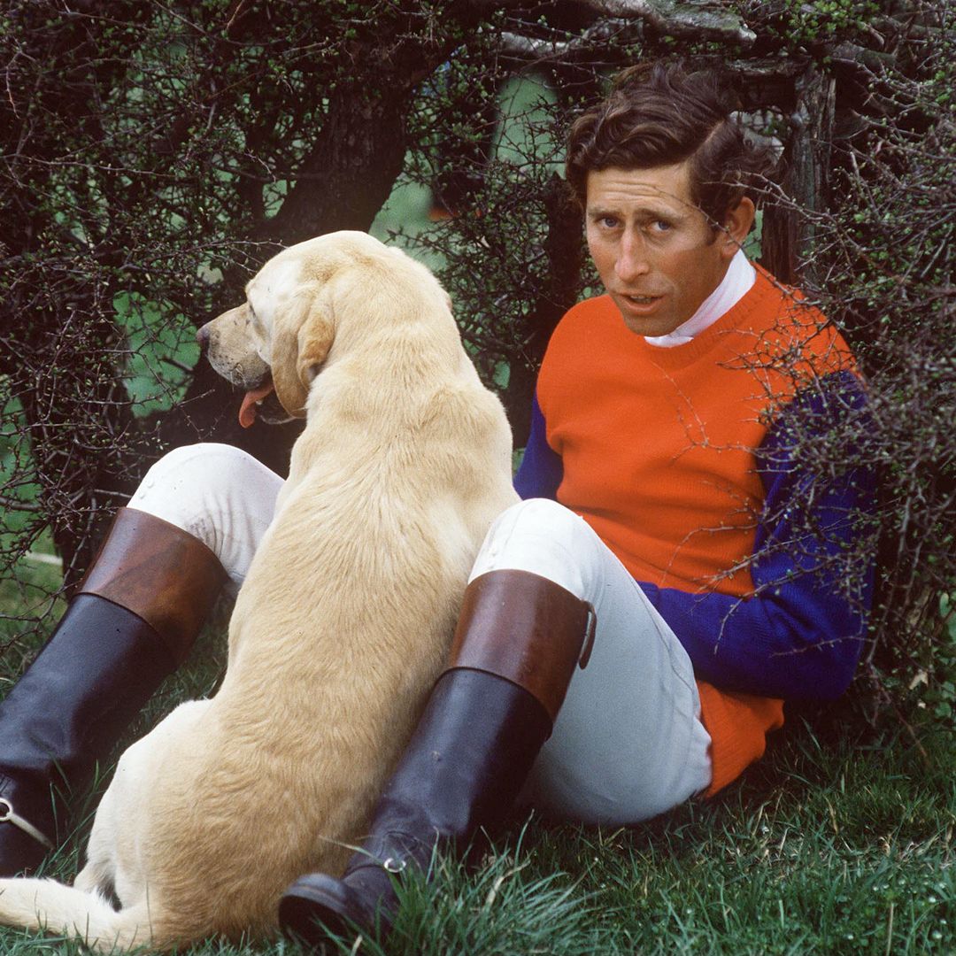 King Charles' letter reveals how much he adored his lab Harvey — the dog he rehomed while married to Princess Diana