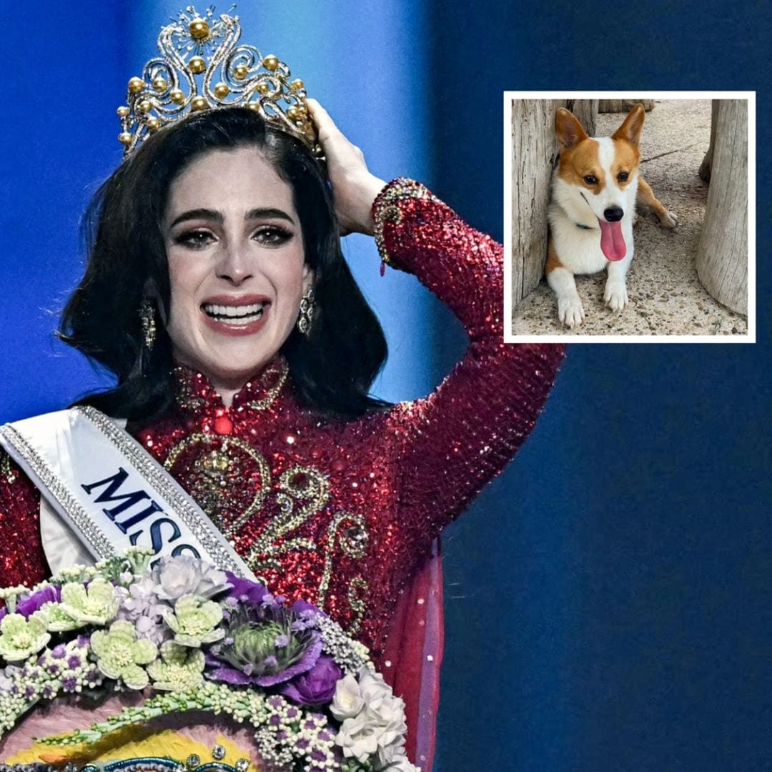 Pet of the Week: How Miss Universe 2025 winner Fátima Bosch honored her late dog Rocco in the competition