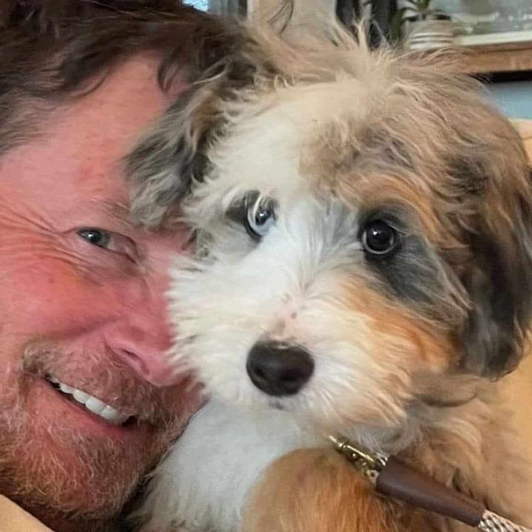 Pet of the week: Meet Blue, Michael J. Fox’s adorable new puppy