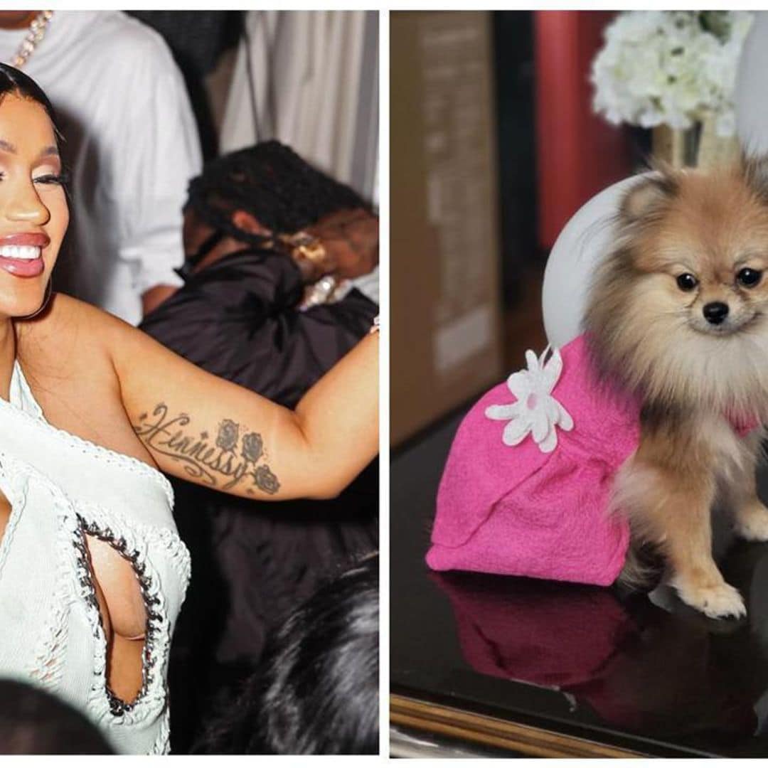 Cardi B celebrates her Pomeranian Fluffy’s birthday with adorable pics