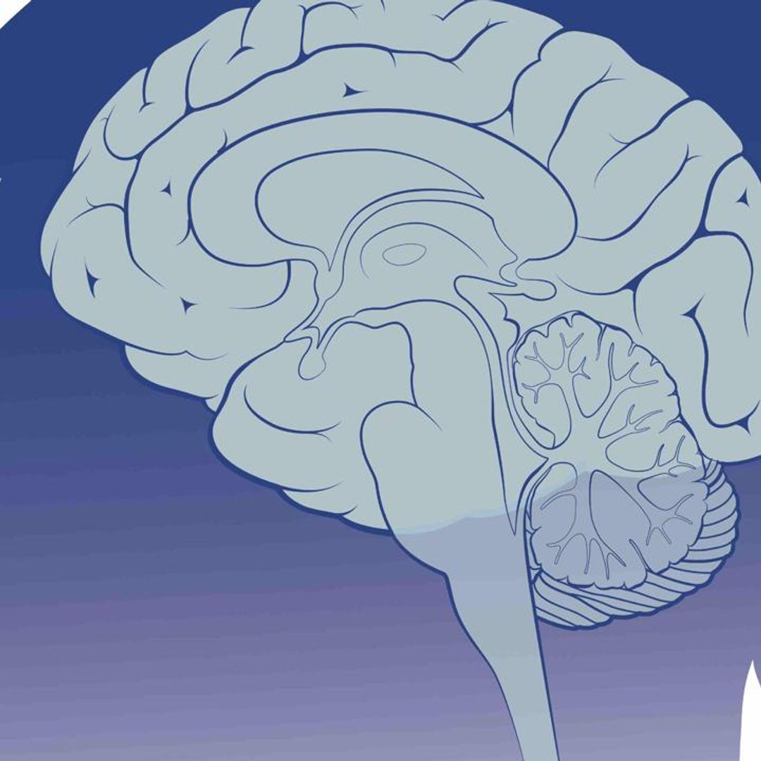 How an AI brain implant helps a stroke survivor communicate in Spanish and English