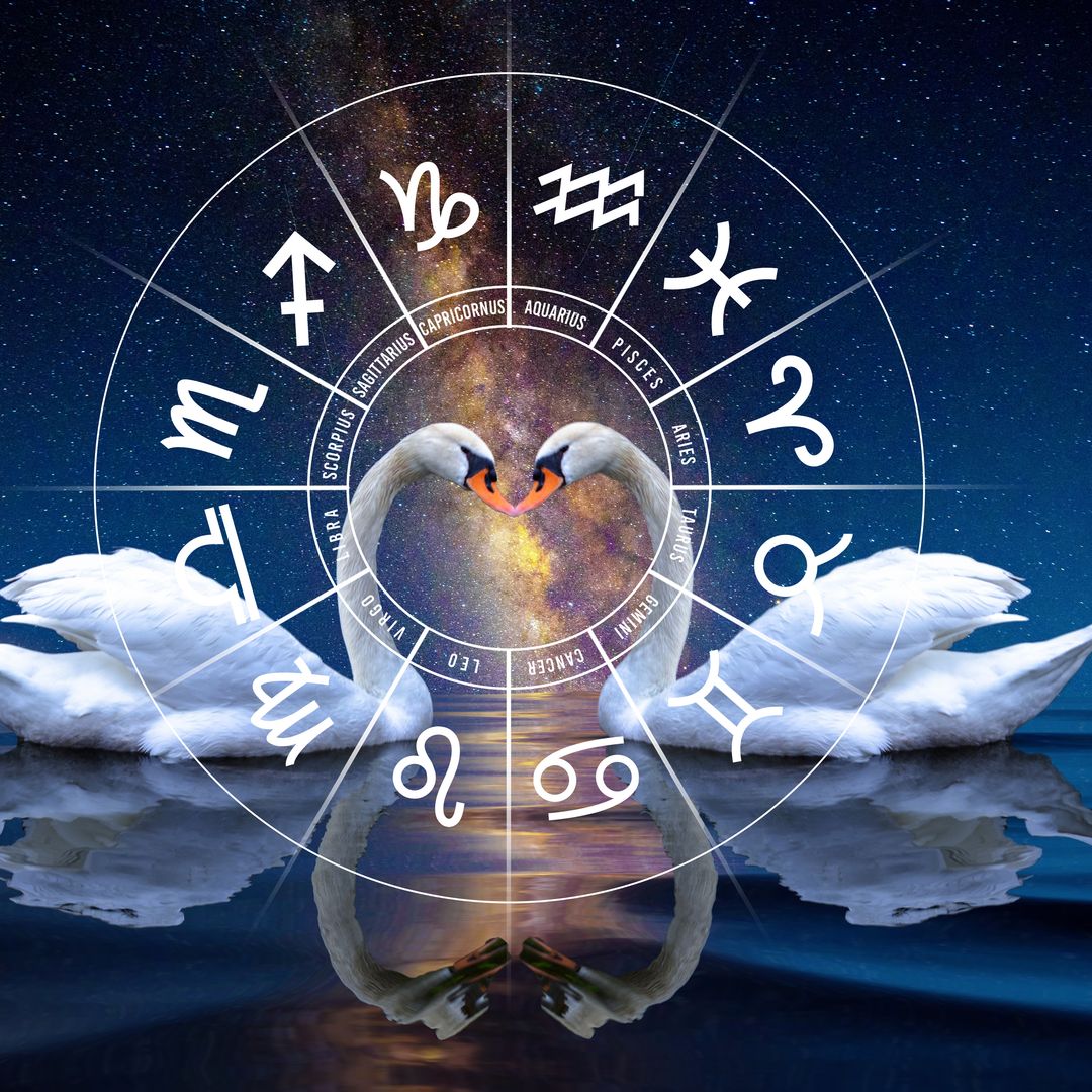 Discover your spirit animal based on your birth date