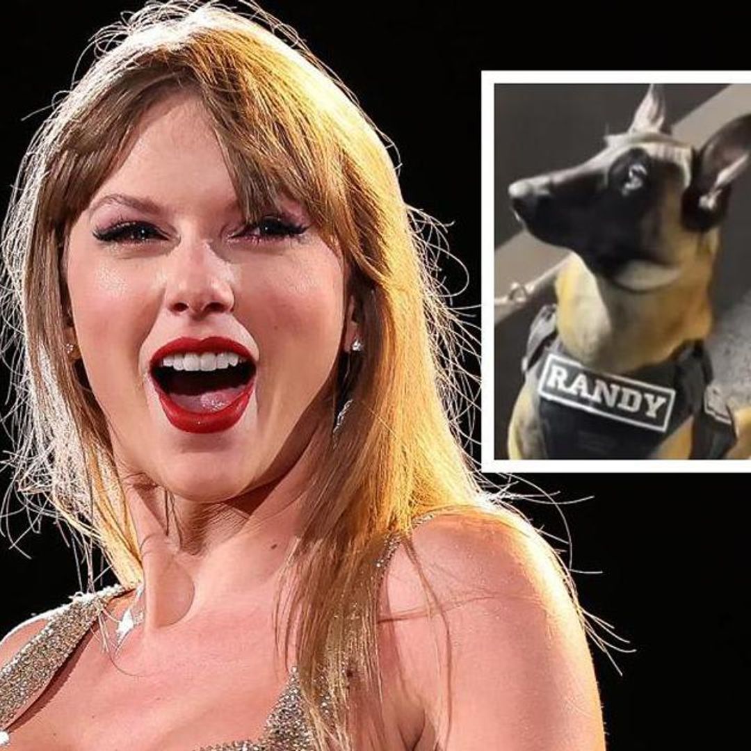 Pet of the Week: This dog stole the show at Taylor Swift’s concert in Mexico for his friendship bracelets