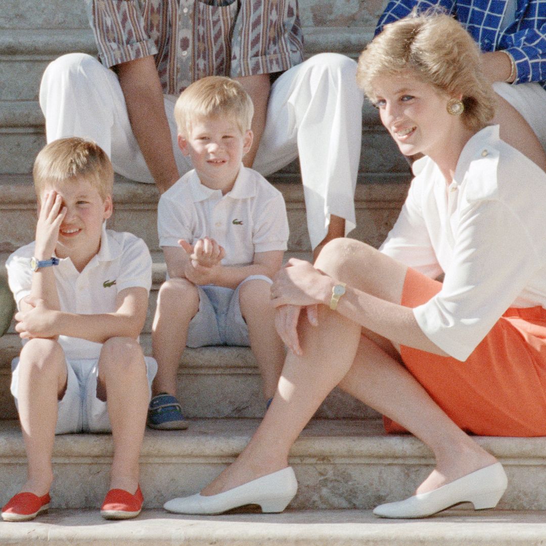 Princess Diana's brother reveals what she would have wanted for William and Harry amid their rift