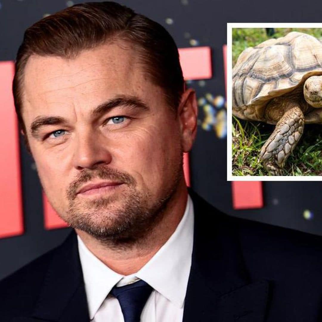 Celebrities with strange pets: From Elvis Presley’s chimpanzee to George Clooney’s pig