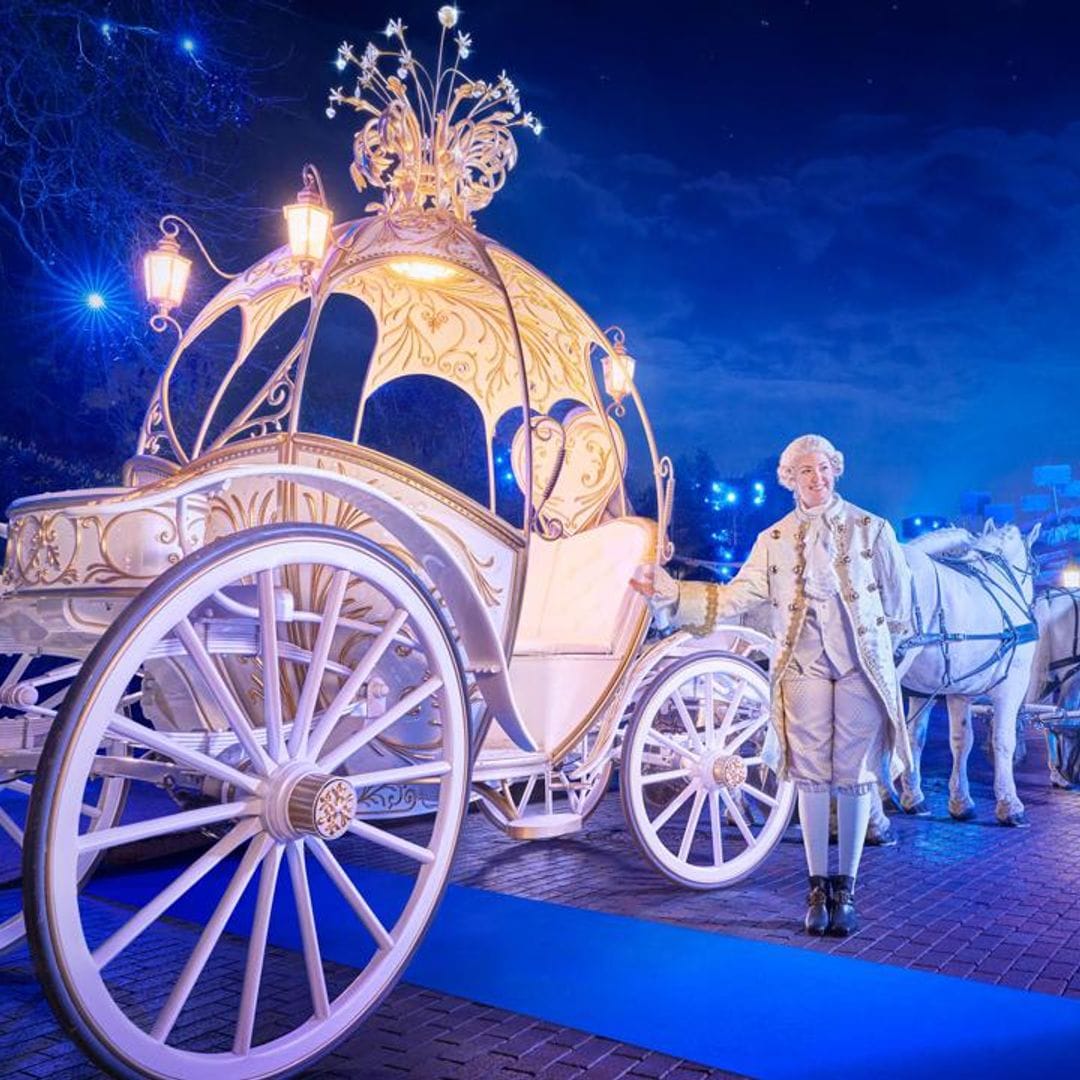 You have to see this fairy tale carriage: ‘It’s the ultimate magic touch for a royal entrance’