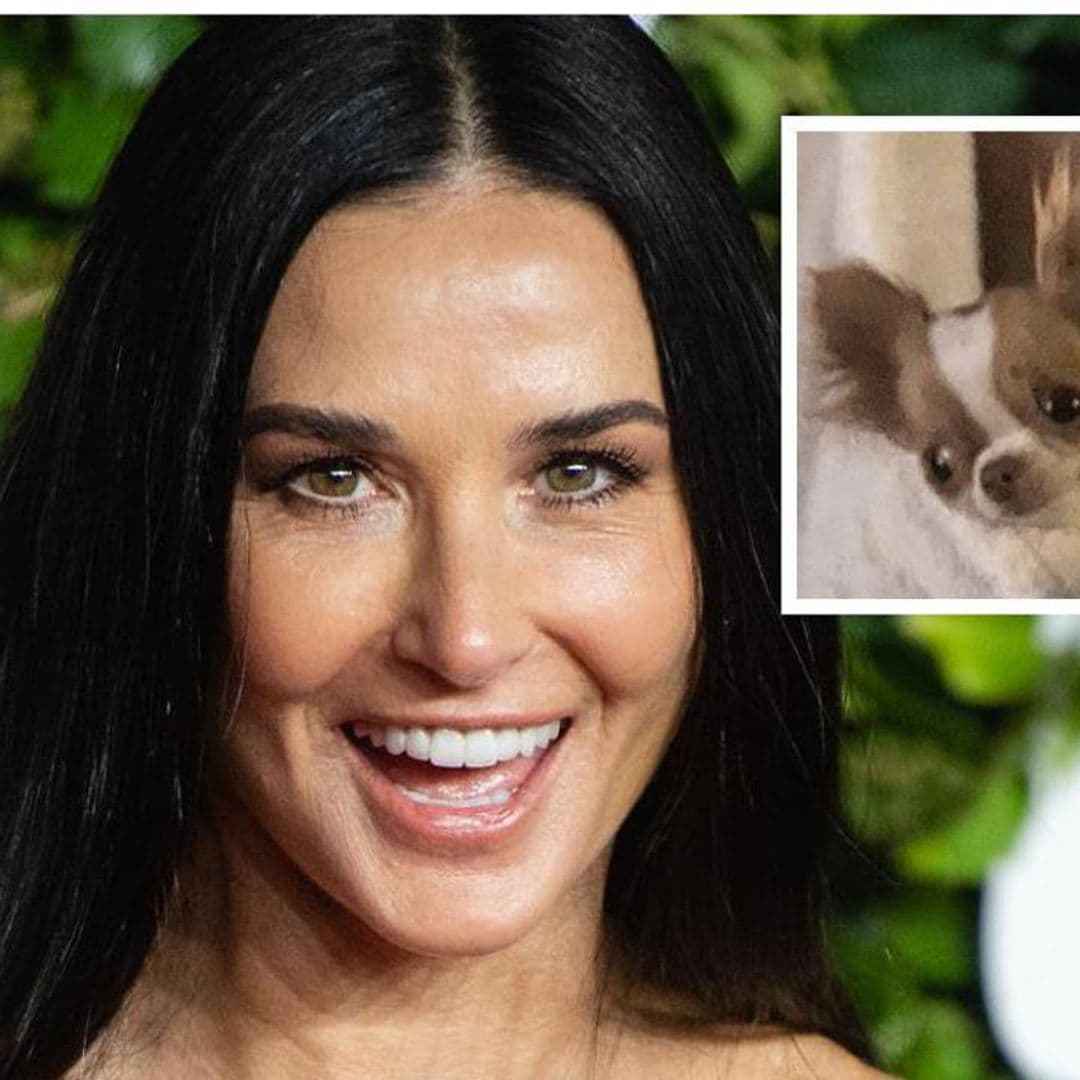 Is Demi Moore breaking the rules with her adorable dog in Paris?