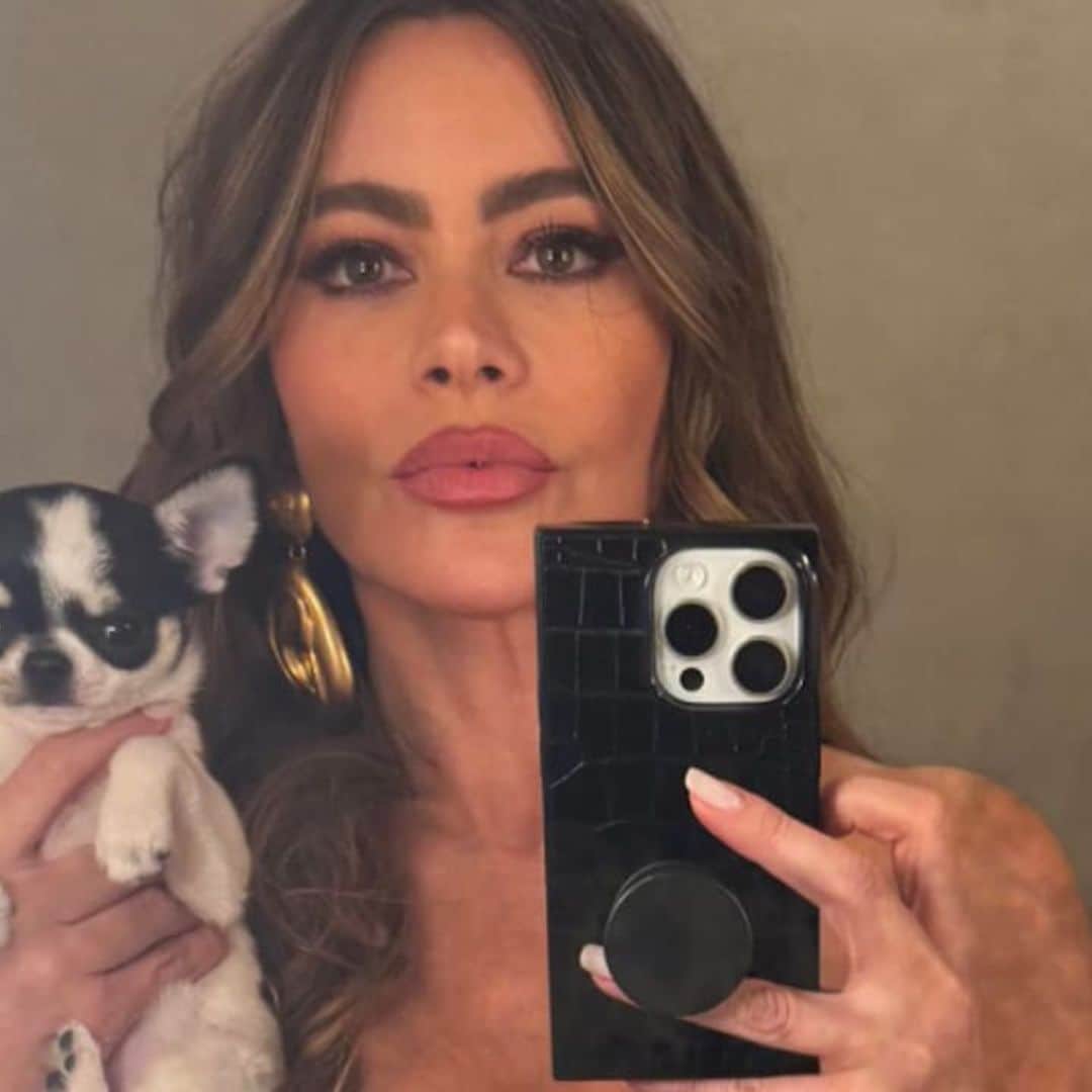 Sofia Vergara introduces her new puppy Amore, after giving full custody of Bubbles to Joe Manganiello