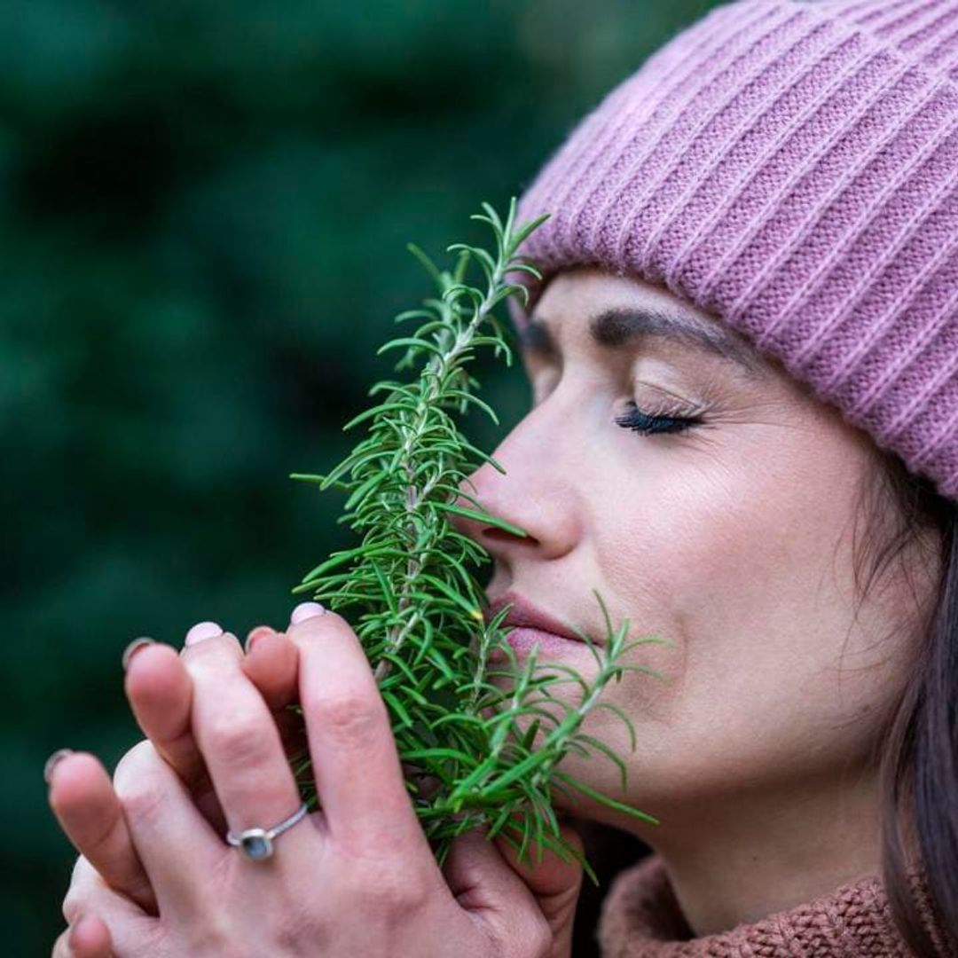 The plant that boosts memory according to Harvard (and you have it in your kitchen)