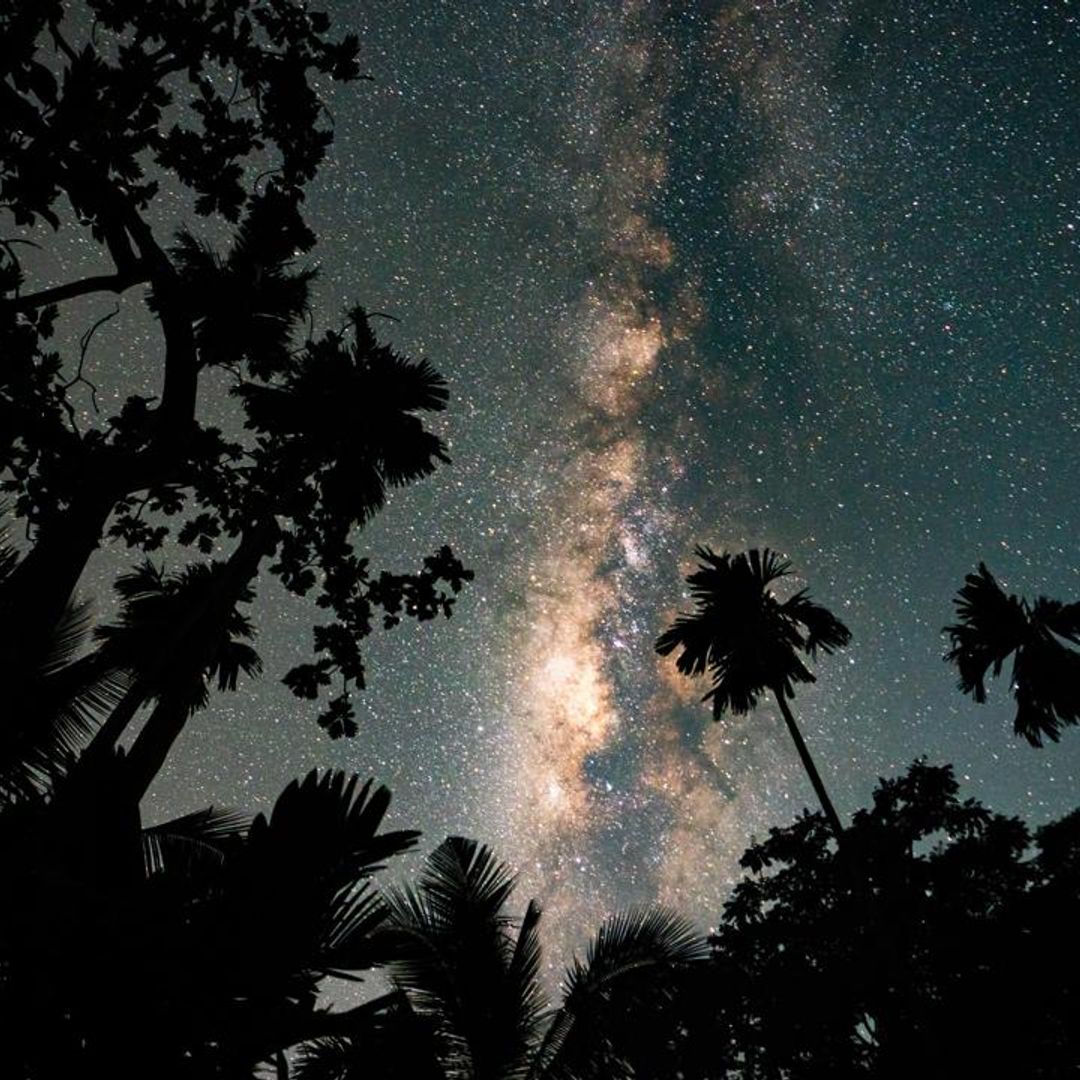 Astronomical events in January: Including the first meteor shower of 2024