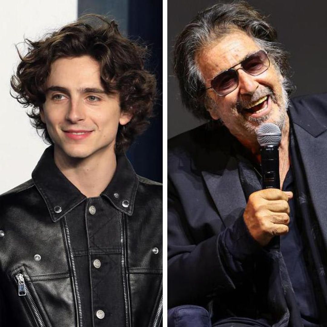 Al Pacino praises Timothée Chalamet and wants him to take over his role in ‘Heat’ sequel