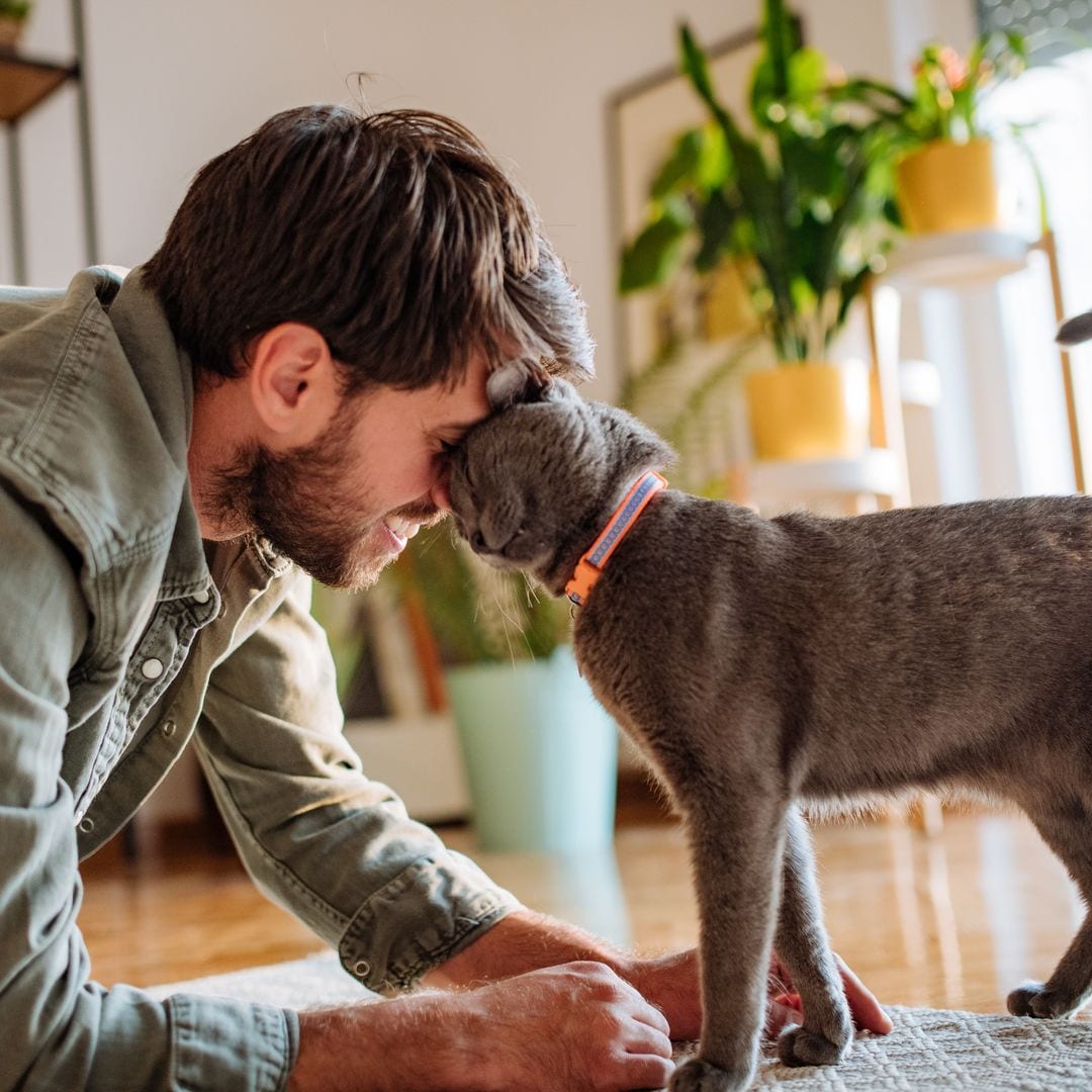 How to communicate with cats: One easy trick