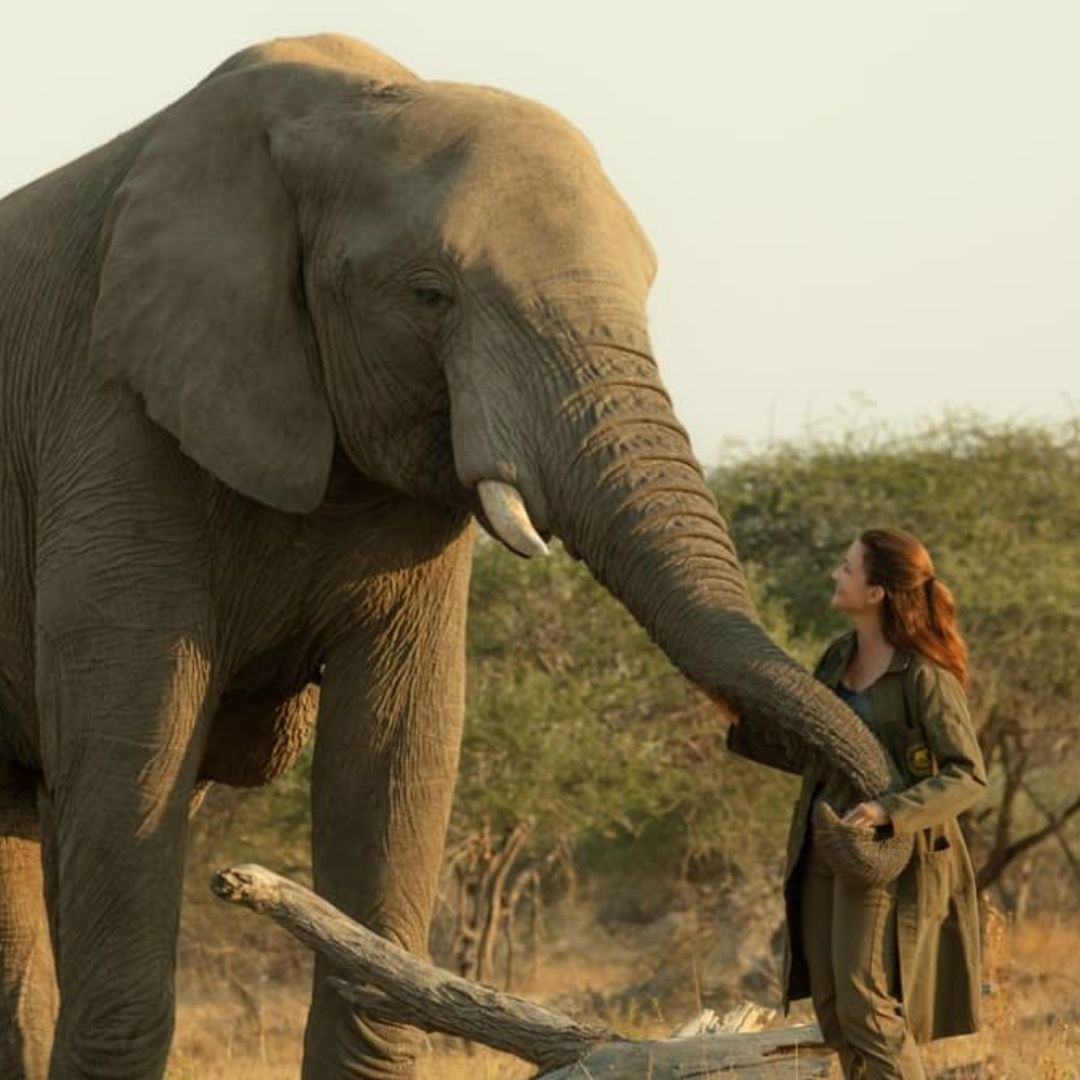 Movies to watch that will make you feel like you’re on a great escape