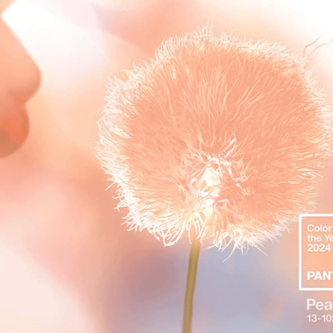 Pantone names Peach Fuzz as the color of 2024: What does this tone mean?