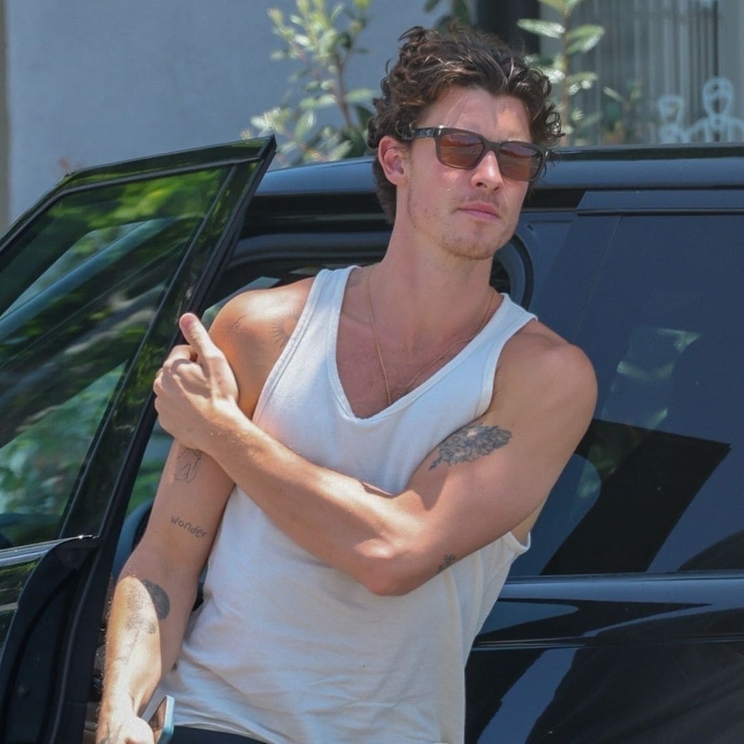 Shawn Mendes is all smiles in rare outing with his sister Aaliyah in Los Angeles