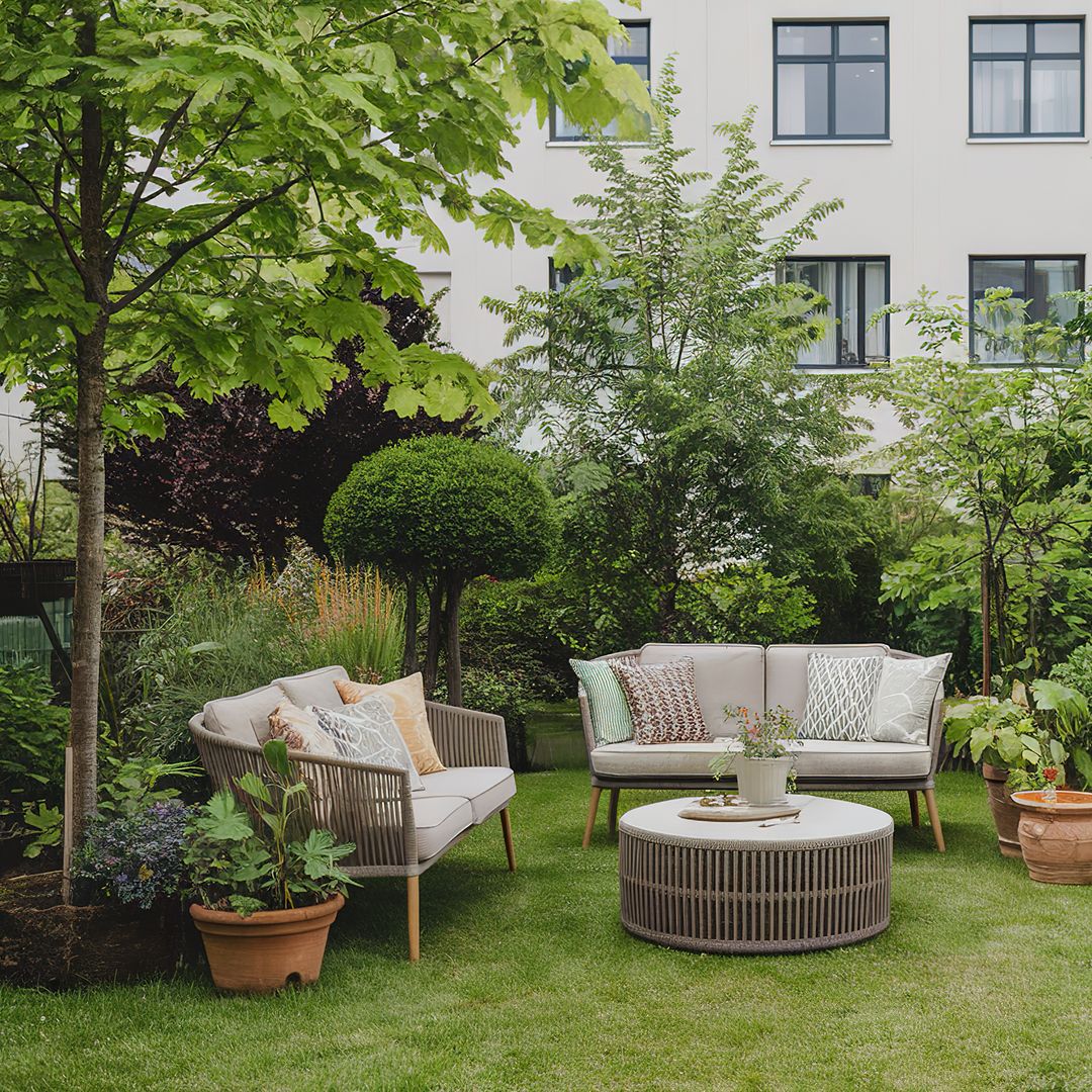 10 ideal plants for a stunning summer garden