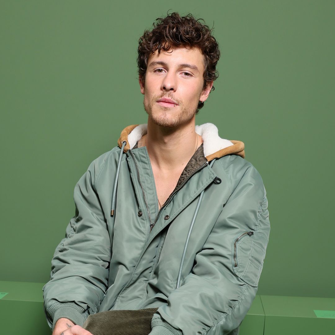 Shawn Mendes opens up about pregnancy scare in new song