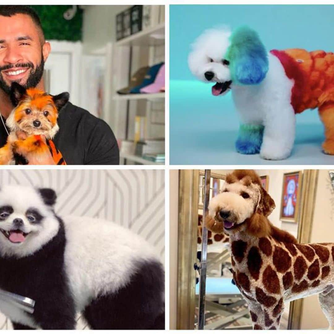 Meet the Brazilian dog groomer turning dogs into adorable magic creatures