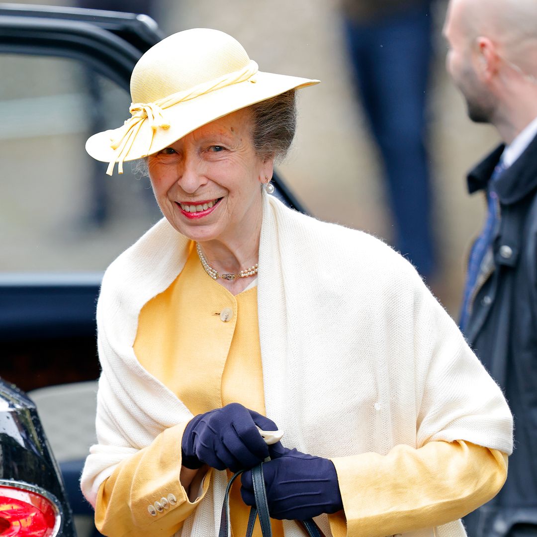 Princess Anne's memory loss: the horse fall that left gaps she still can't fill