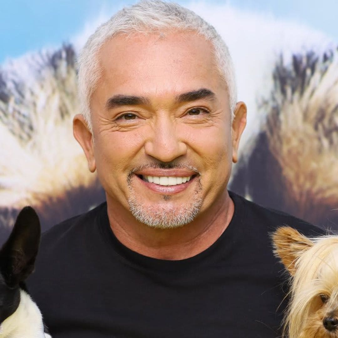 Misbehaving dogs beware! Cesar Millan is back in action with a new training show