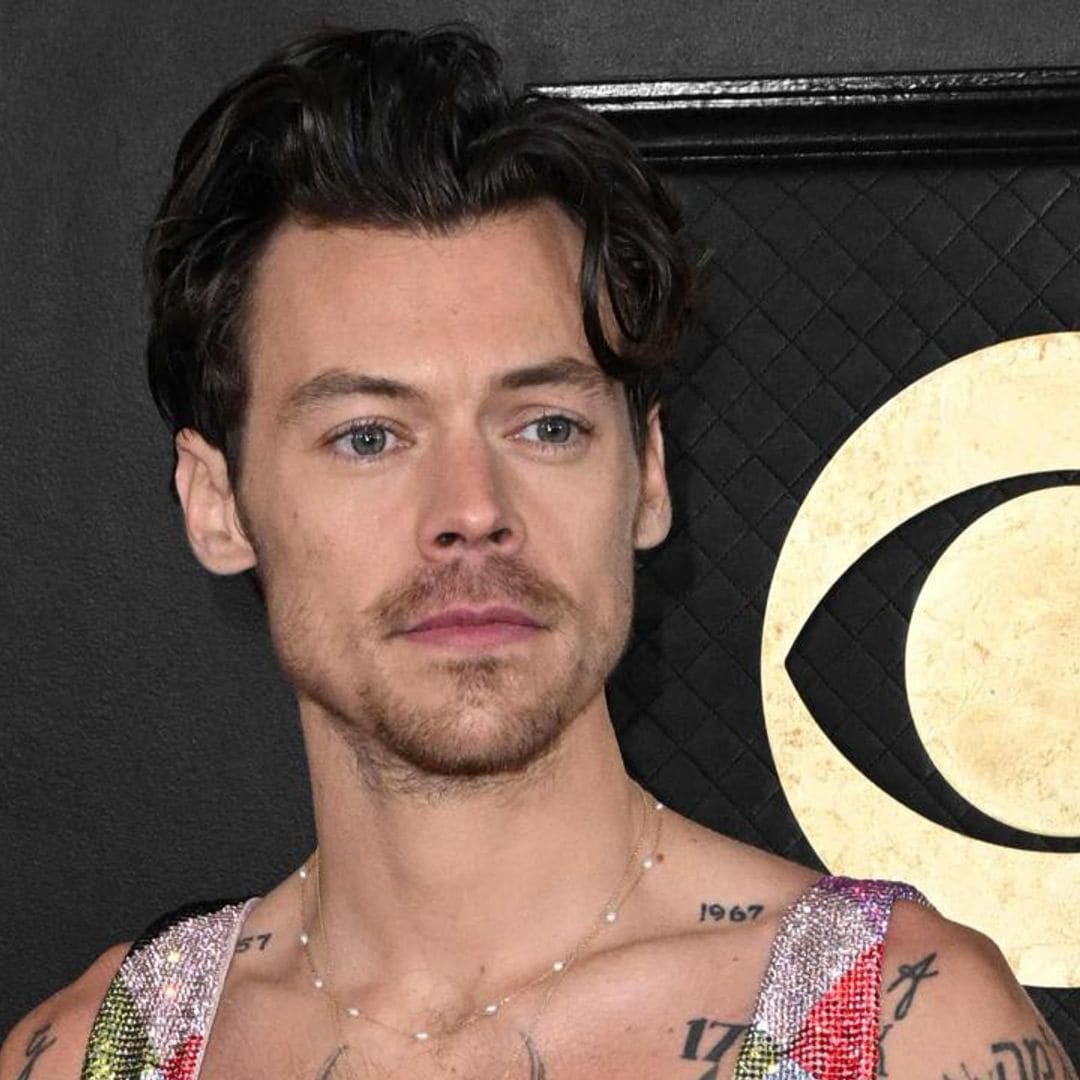 Harry Styles fans left excited and impressed as new photo shows remarkable hair growth