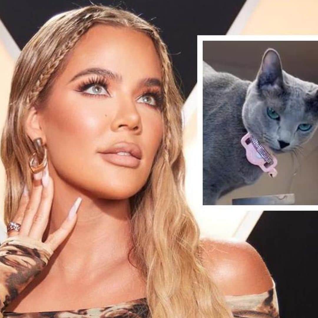 Khloé Kardashian’s adorable cat steals the show in new video: Meet Grey Kitty