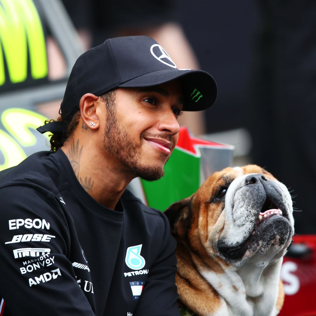 Lewis Hamilton's dog Roscoe battles pneumonia and coma: Driver asks fans to pray for him