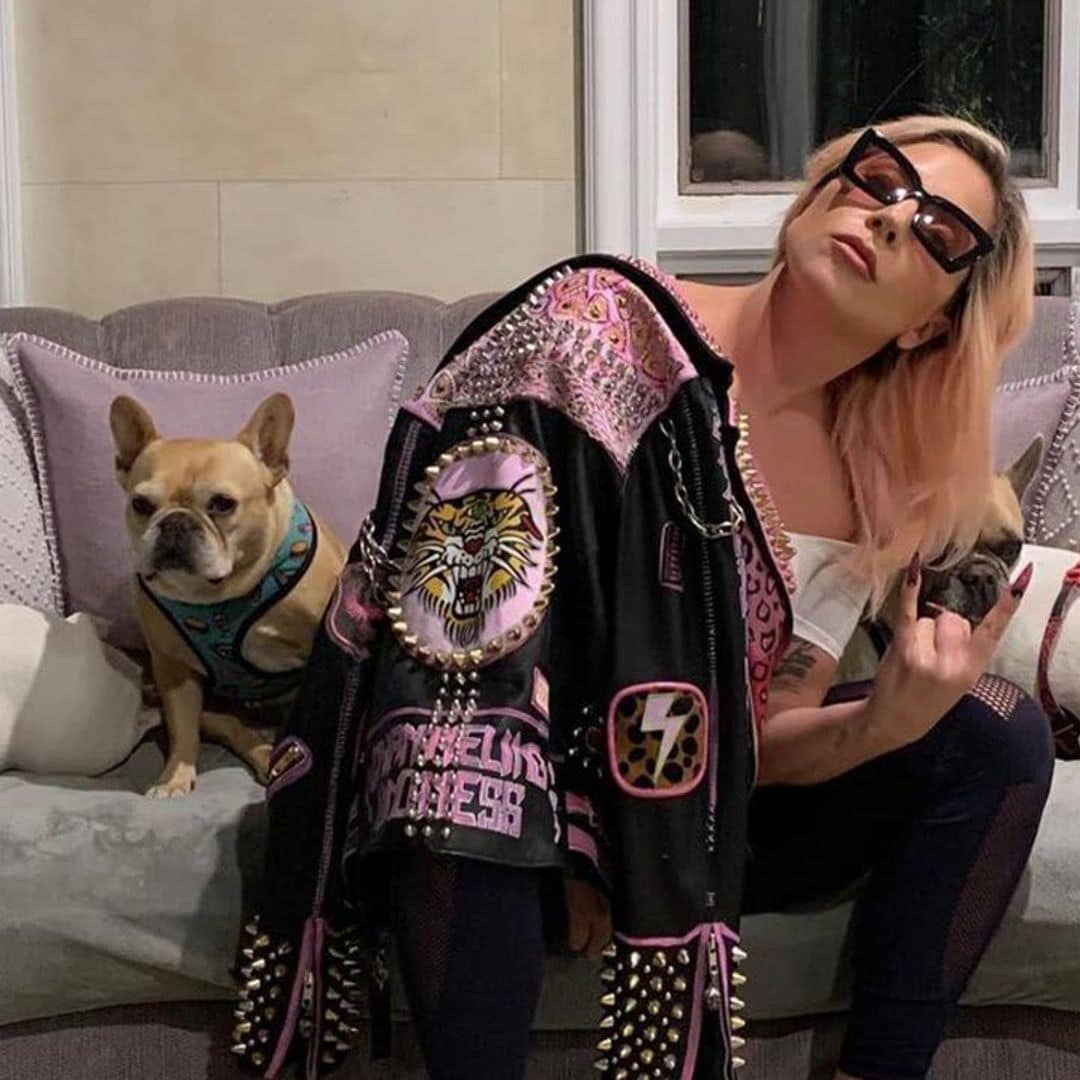 Lady Gaga’s missing dogs found after dog walker shot