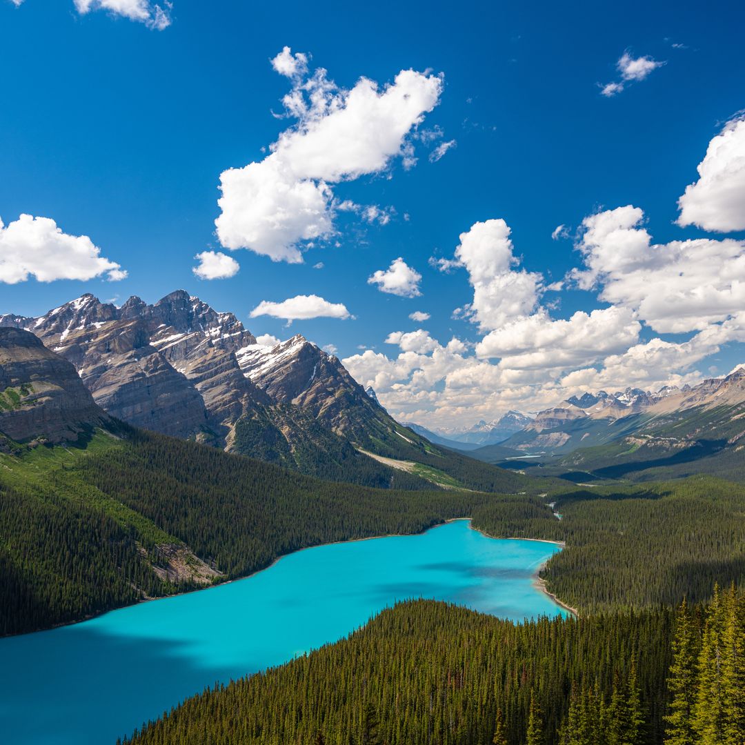 Spectacular view of Peyto Lake in Banff National Park, Alberta, Canada. 