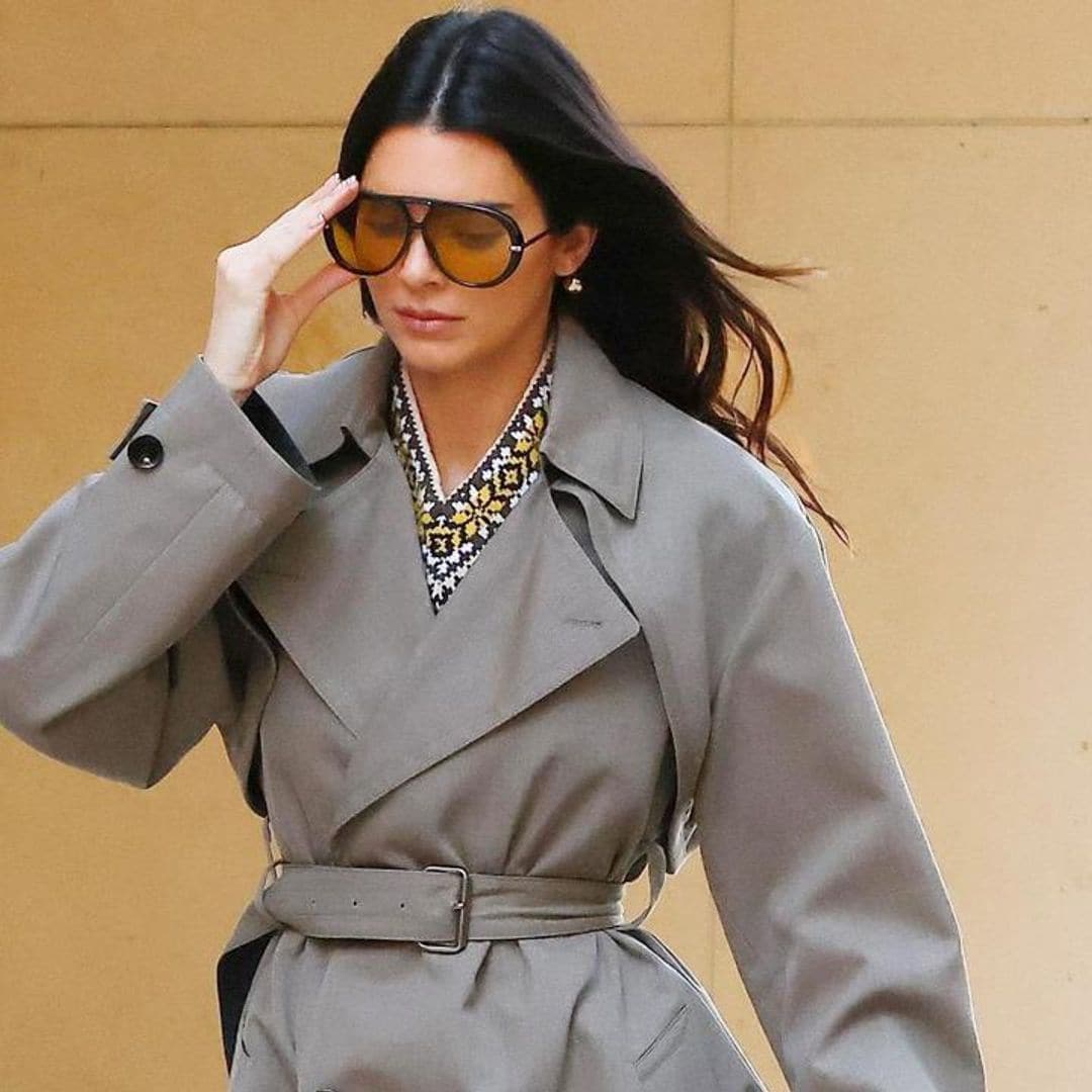 Kendall Jenner wears head-turning look while walking her dog in Beverly Hills