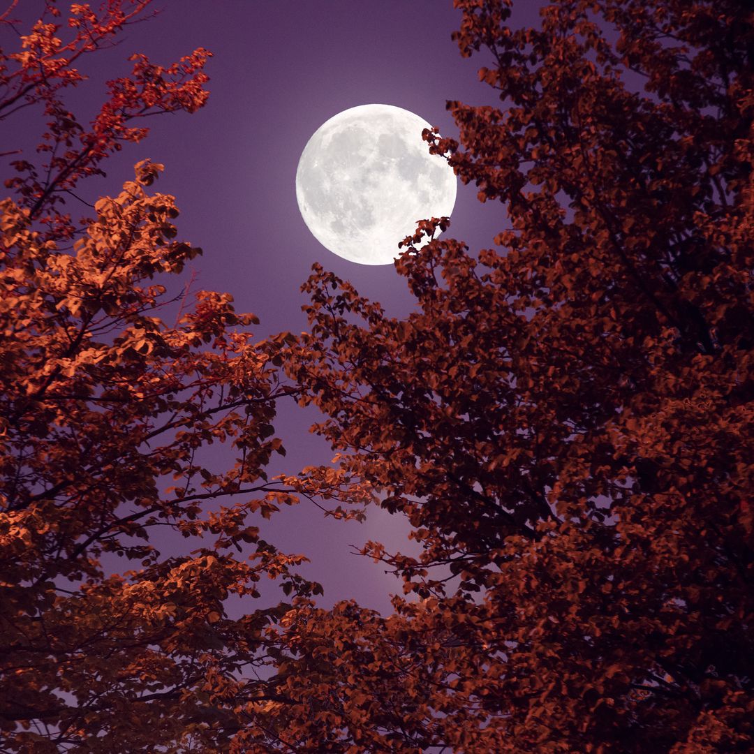 The Full Corn Moon September 2025: Everything you need to know