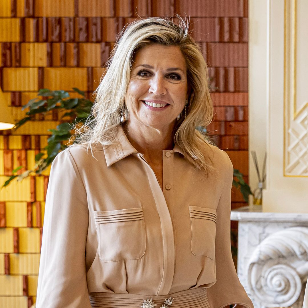 Queen Máxima shines in chic pastel blouse, wide-leg trousers and pointed-toe pumps during palace meeting