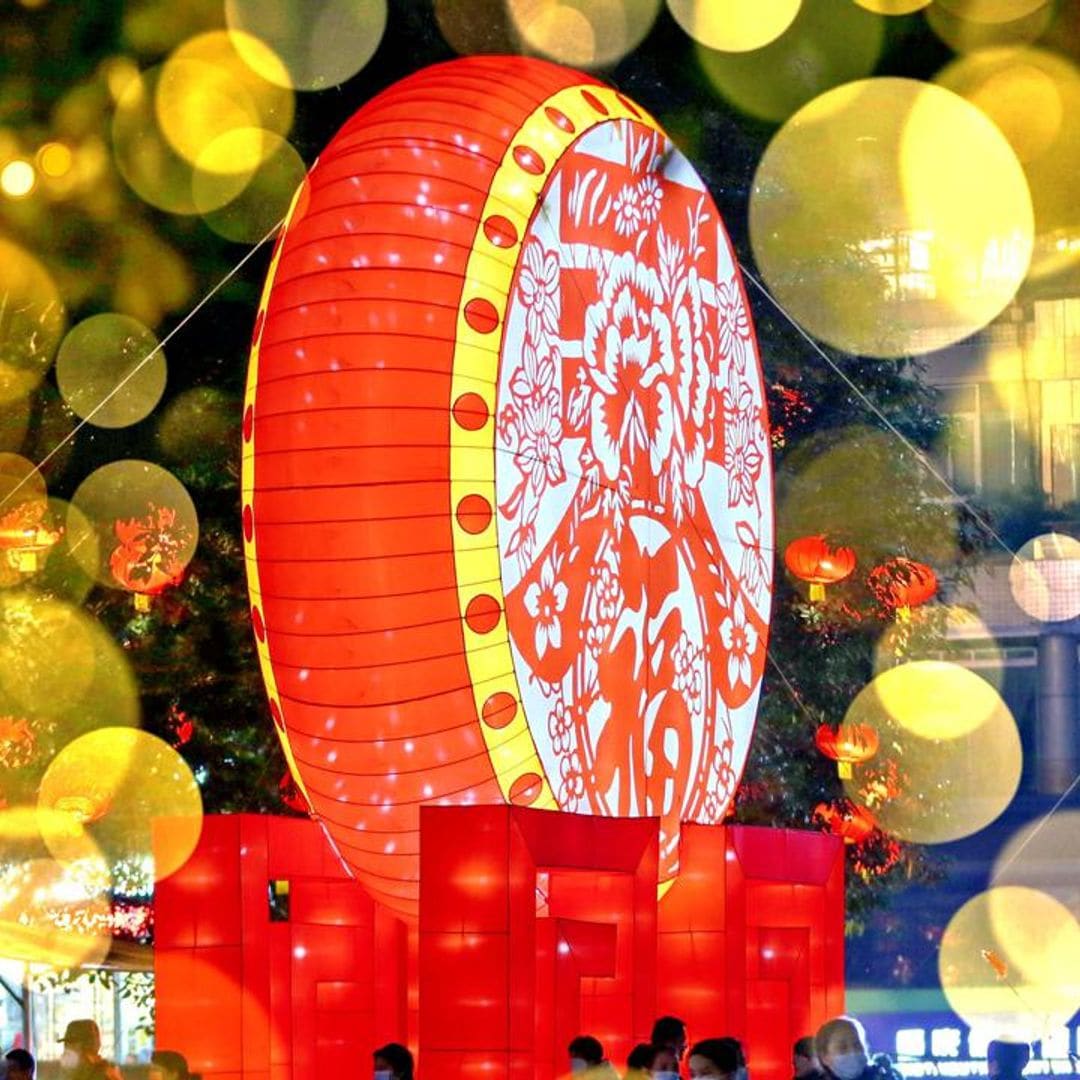 Discover your Chinese zodiac element and what it means: Astrology