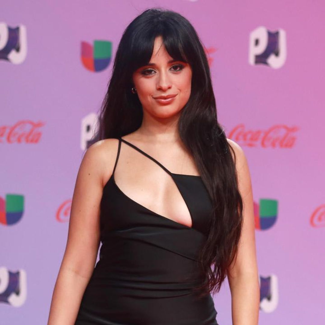 Camila Cabello shares stunning bikini summer pics