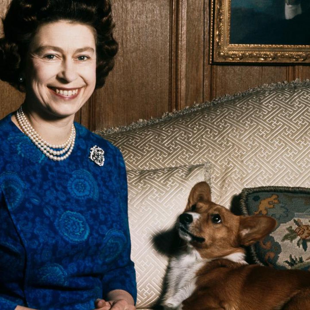 Queen Elizabeth’s love for corgis: What will happen to her adorable dogs?