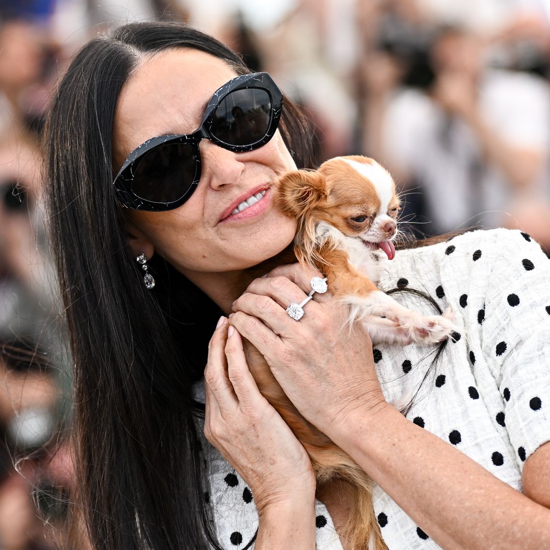 Demi Moore and her dog Pilaf wore matching red carpet looks: See the mini version of the gown