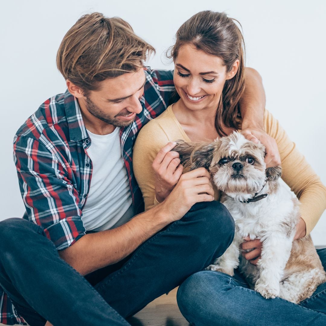 Beautiful happy couple and their shih tzu dog moving in new apartment. Cheerful couple surrounded with cardboard boxes sitting on the floor in their new house.