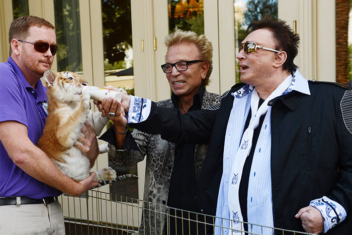 siegfriedroy